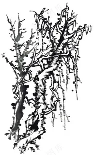 古木工笔国画图片素材