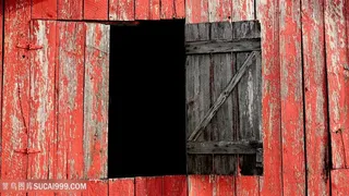 木板窗户壁纸