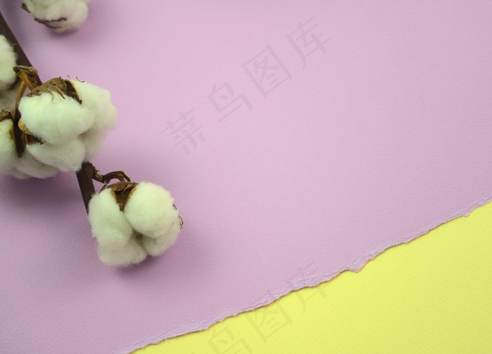 支持*广告背景图片