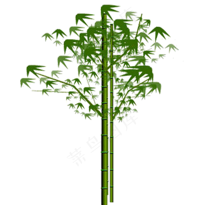 PNG 绿色竹子 