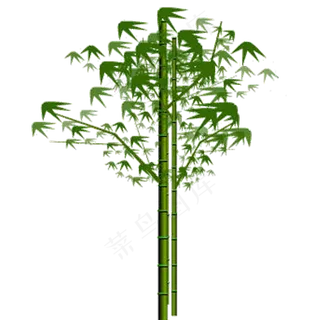 PNG 绿色竹子 