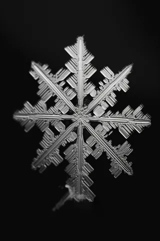 雪花白雪冬天摄影图