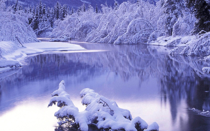 唯美高清树林湖水雪景