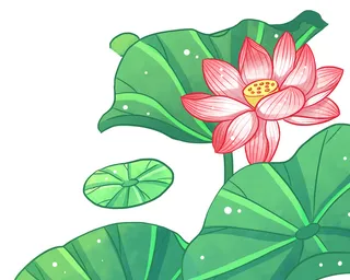 国潮中国风手绘荷花莲花荷叶莲藕植物花卉装饰插画PSD设计素材