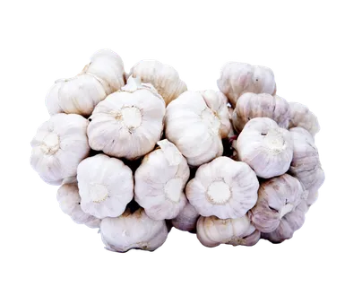大蒜头 (9)超市商品白底图免抠实物摄影png格式图片透明底