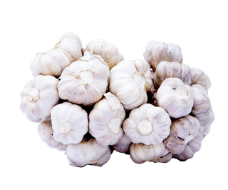大蒜头 (9)超市商品白底图免抠实物摄影png格式图片透明底
