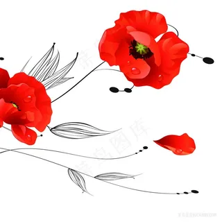 手绘红花花藤插画