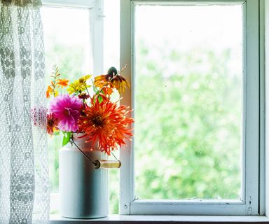 在室内的窗台上的美丽夏天花束