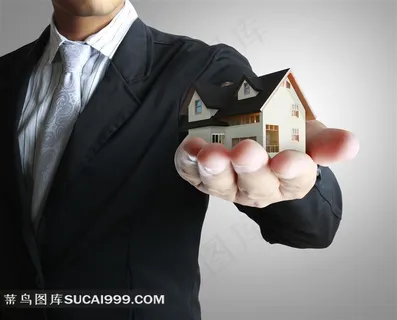 手托着房子模型的手势摄影高清图片 手托着房子模型的手势摄影高清图片