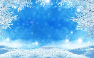 美丽的冬日雪景图片