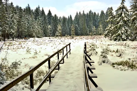 冬季唯美雪景图片 冬季唯美雪景图片