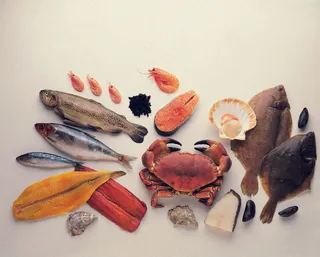 蔬菜 水果 新鲜 背景  素材