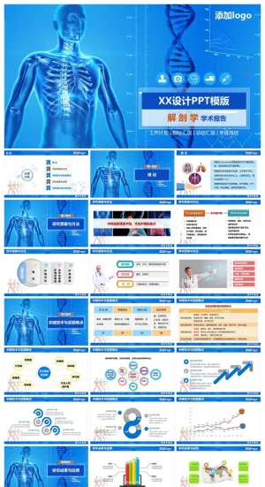 解剖学学术报告设计ppt模板预览图