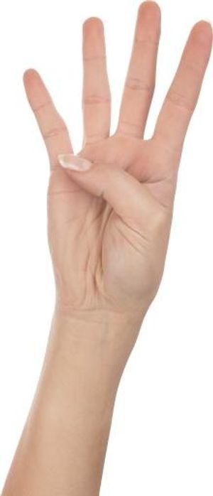 四指手 手 PNG，手图像免费免抠