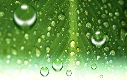 自然风景水珠图片 自然风景水珠图片