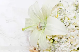 高清白色的百合花图片