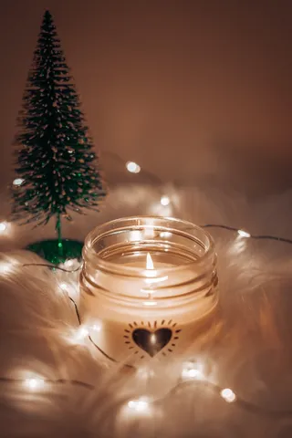 平安夜 圣诞树   喝热  假期 圣诞节 喜庆的 可口 光 平安夜