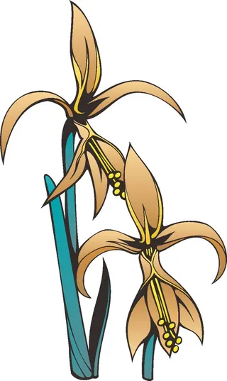 卡通动漫动画鲜花花草手绘海报名片免扣图片素材矢量图