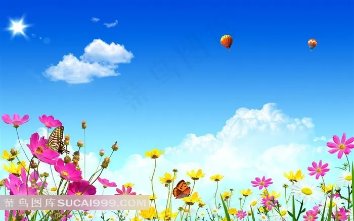 蓝天白云花朵蝴蝶唯美风景