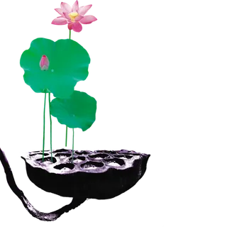 莲蓬荷花古典元素传统