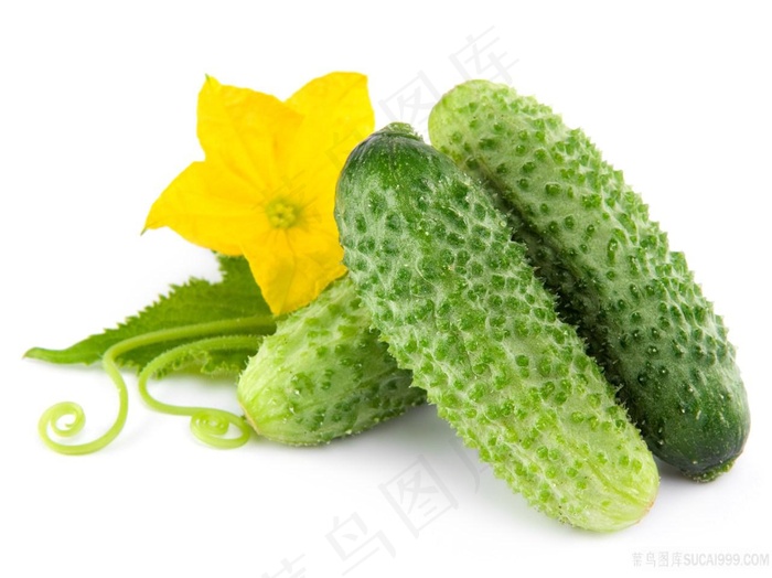 新鲜的小黄瓜