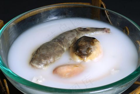 DJCC-3414美味奶汤河豚