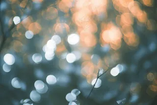 阳光光影光晕光圈摄影图