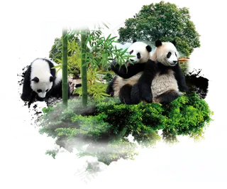 大熊猫元素