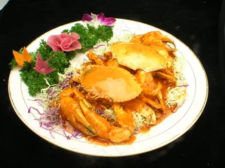 粤菜1584腊梅焗肉蟹sww