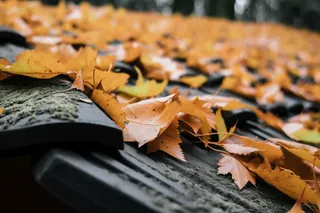 秋季屋檐上的落叶黄叶摄影图