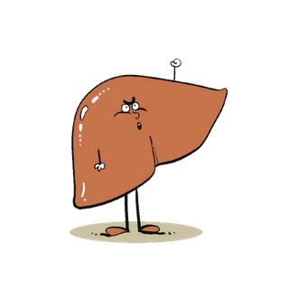 不健康的肝脏生病肝炎插图