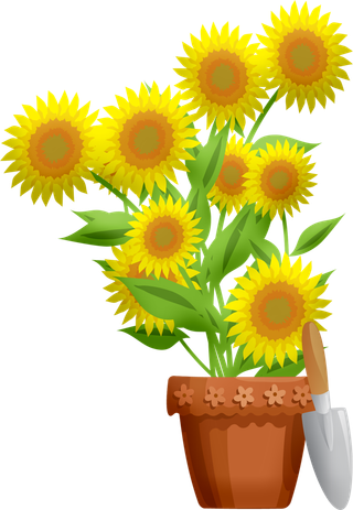 盆花, 园艺, 自然, 植物, 温室, 花, 绿色