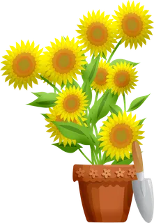 盆花, 园艺, 自然, 植物, 温室, 花, 绿色 盆花, 园艺, 自然, 植物, 温室, 花, 绿色
