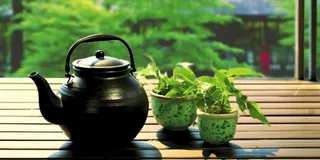 茶壶植物自然意境背景