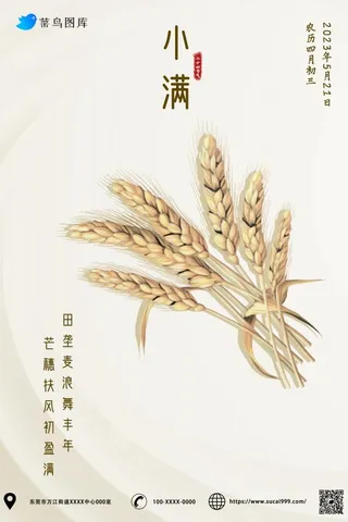 小满节气麦穗黄色丰收海报