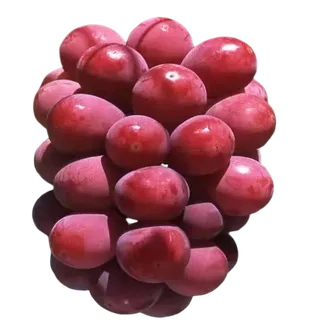 葡萄免抠素材、葡萄素材④