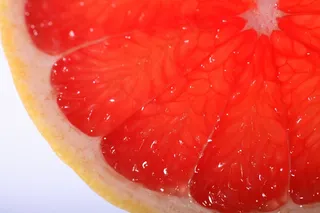 鲜嫩橙子片图片下载