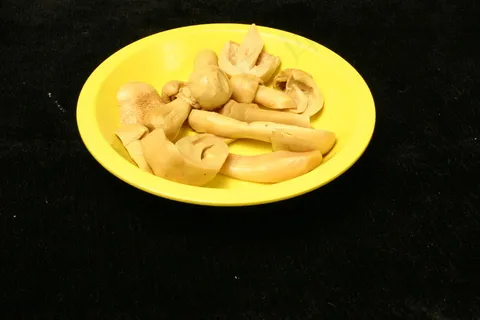 鸡松茸     鸡松茸