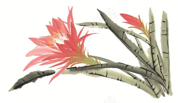 写意花卉高清jpg素材