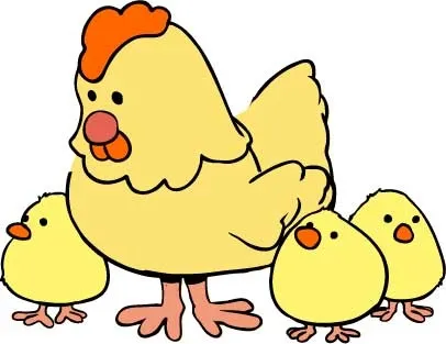 鸡 母鸡 可爱的 家庭 动物 ai矢量模版下载
