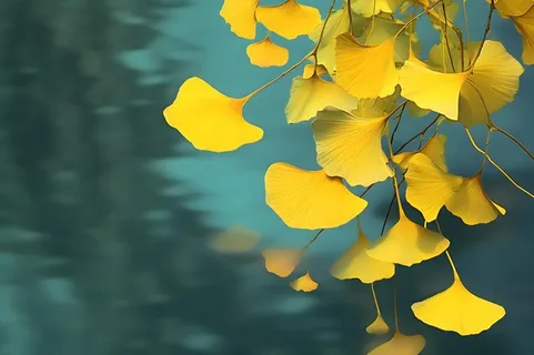 秋叶黄色树枝虚化背景