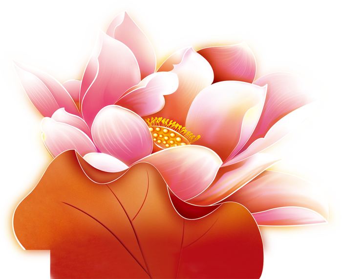 素材花朵花瓣