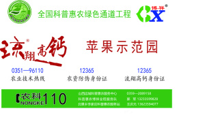 流翔高钙示范园版面