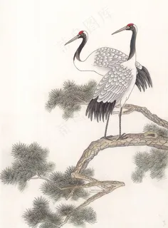 国画吉祥鸟国画图片美图素材 国画吉祥鸟国画图片美图素材