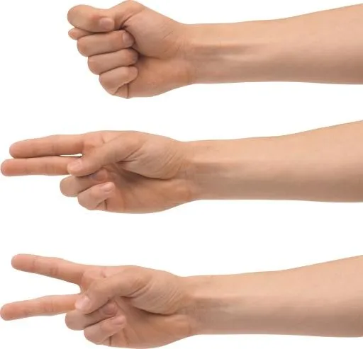 手 PNG免抠(2626x2529)