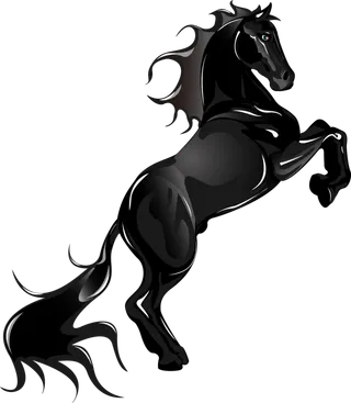 中国风水墨骏马