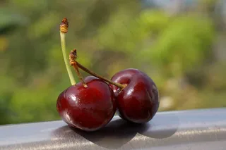 水果樱桃图片素材