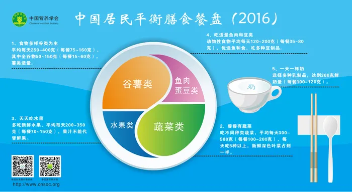 中国居民平衡膳食餐盘cdr矢量模版下载