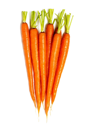 胡萝卜兔年兔子