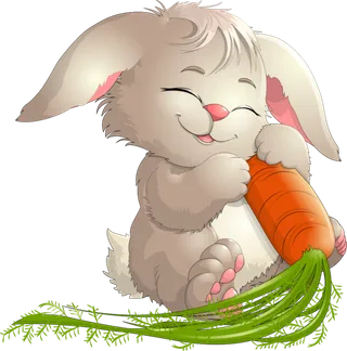 小兔子吃萝卜兔年